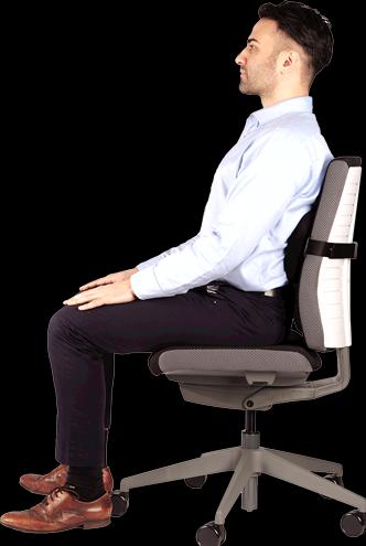 Actual product image Fellowes Back support Plush Touch
