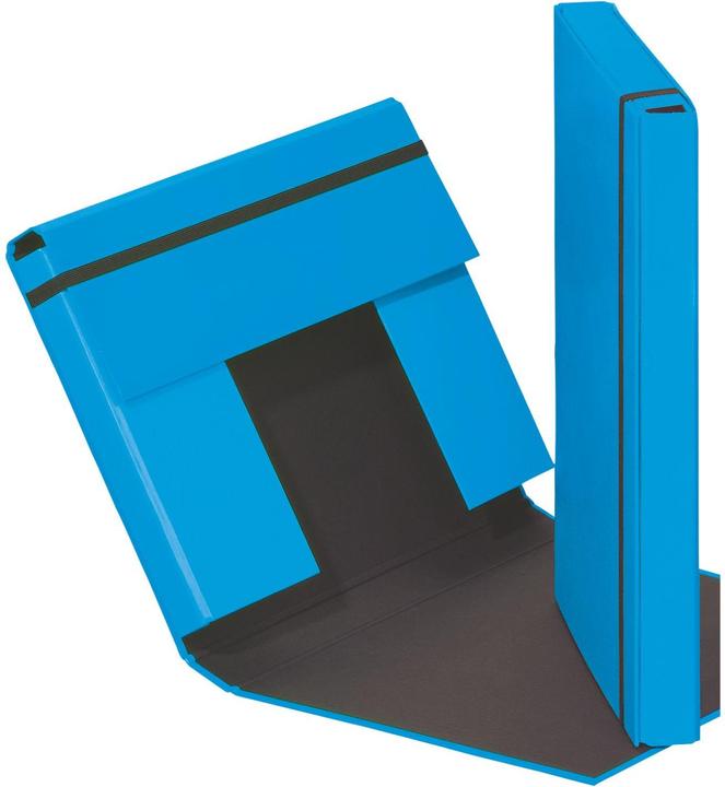 Pagna Sammelbox Trend A4 (A4, 1 x)