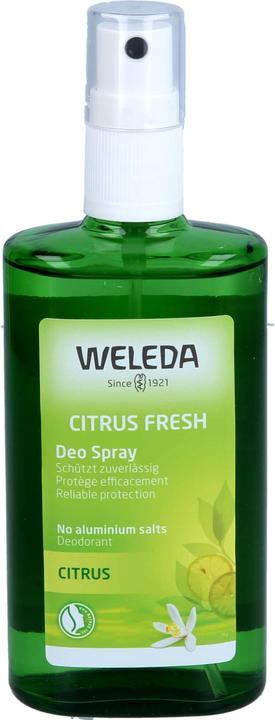 Immagine prodotto Weleda Agrumi (Getto vaporizzato, 100 ml)