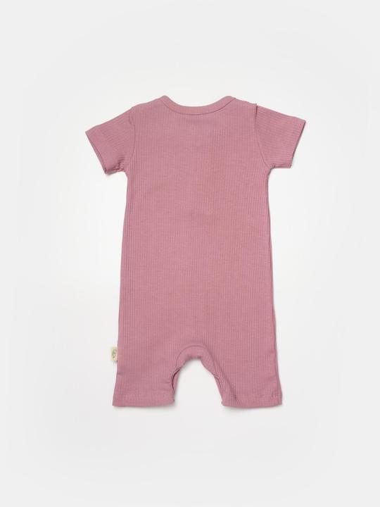 Image du produit BabyCosy Grenouillère courte. manches courtes. 2 Pack (80)