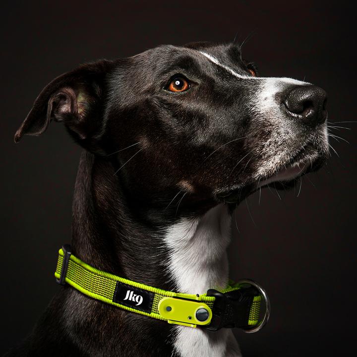 Actual product image Tickless Outdoor Collar Hundehalsband Gelb (Dog)