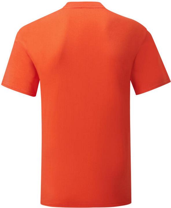 Actual product image Fruit of the Loom Mens Iconic 150 T-Shirt (L)
