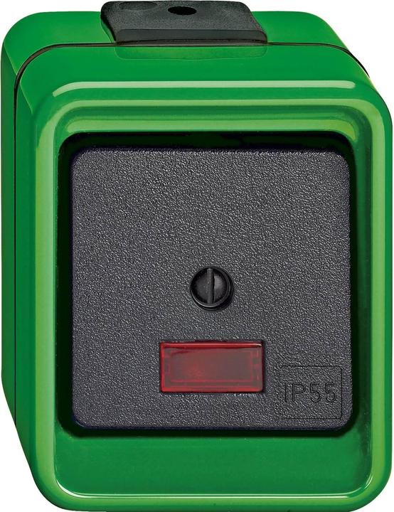 Actual product image Merten Electric switch