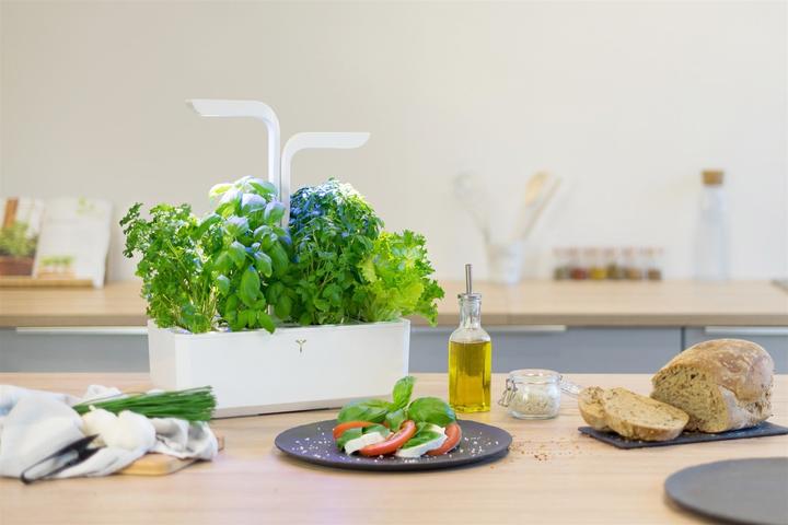 Image du produit Véritable Classic (18.50 cm)
