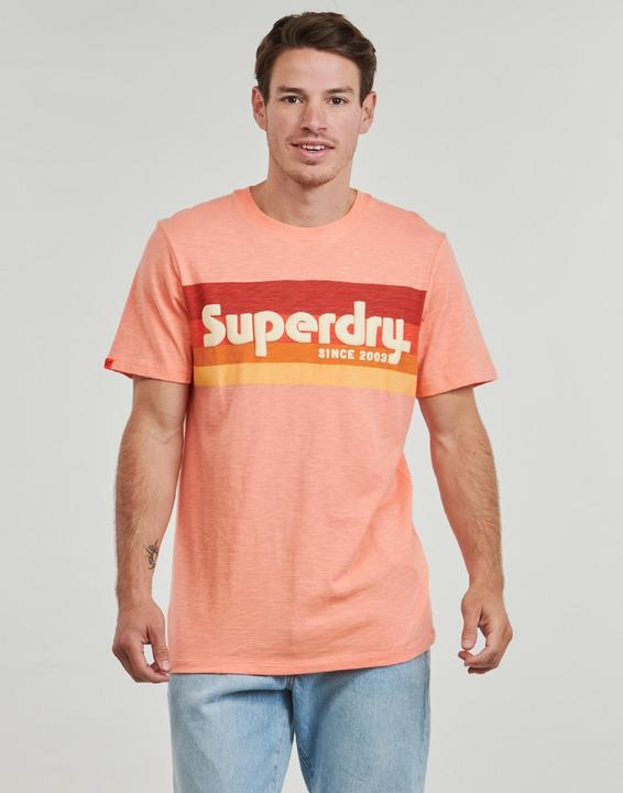 Actual product image Superdry Terrain Logo Stripe Relxed Tee (S)