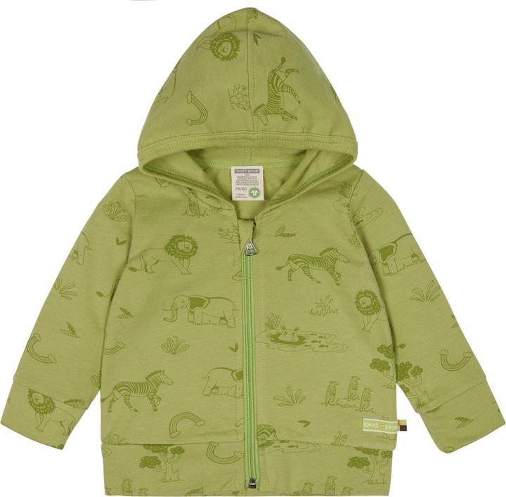 Alligator