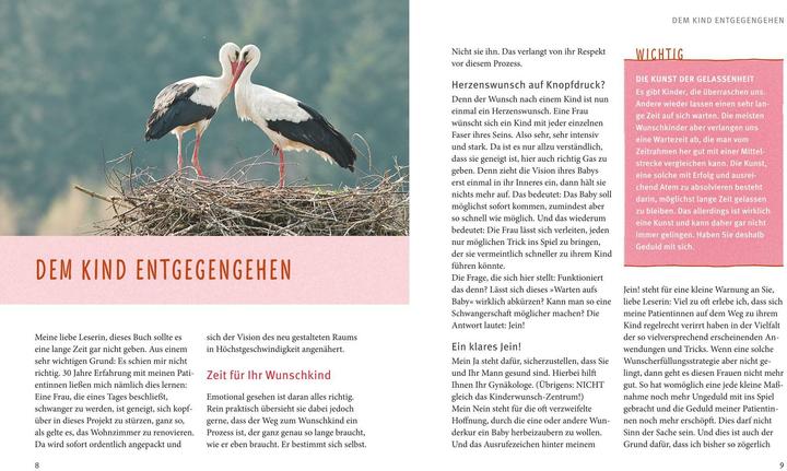 Actual product image Kinderwunsch (German, Birgit Delicate, 2015)