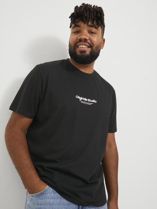 Produktbild Jack & Jones Jorvesterbro Tee Ss Crew Neck Noos Pls (XXL)