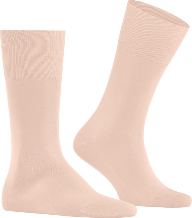Image du produit Falke Tiago Hommes (41 - 42)