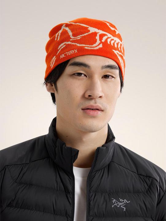Actual product image Arc'teryx Bird Head