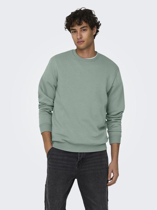 Produktbild Only & Sons Onsceres Crew Neck Noos (L)