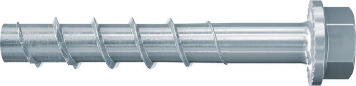 Fischer Ultracut FBS II 8x70 20/5 US TX (50 Stk.)
