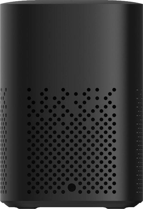 Actual product image Xiaomi Smart Speaker (IR Control) (Electrical connection)