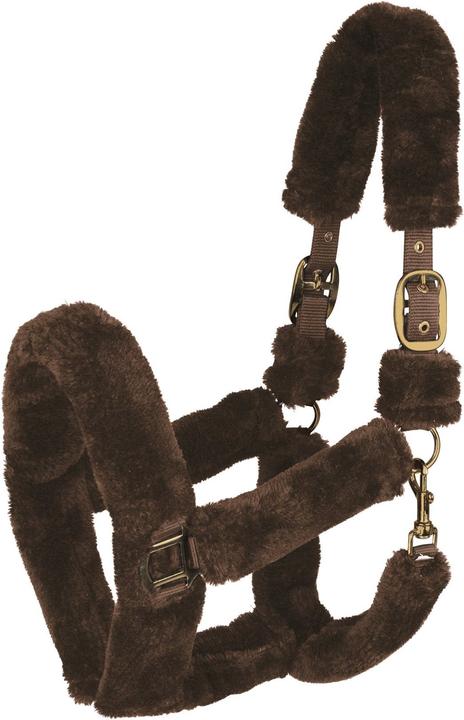 Waldhausen Halfter Cozy