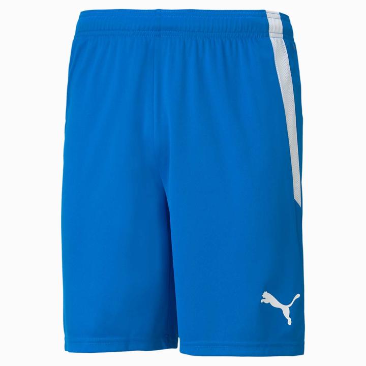 Actual product image Puma teamLIGA Shorts-704924 (XL)