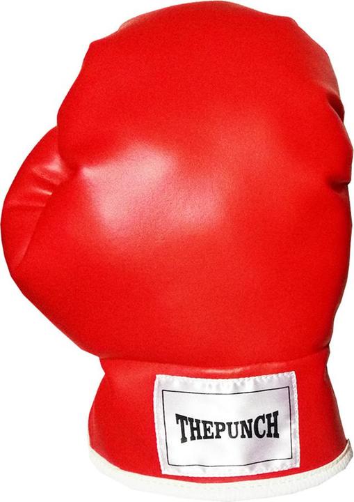 Immagine prodotto Evolution Guanto da boxe