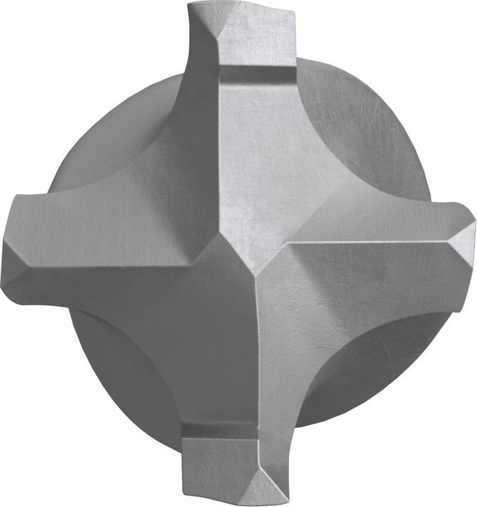 Actual product image Fischer SB Nylon plug Duopower with angled hooks (14 millimetres)