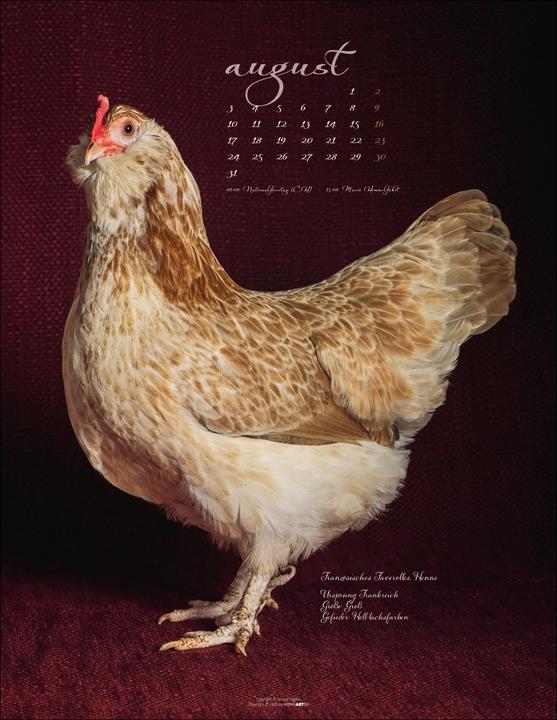 Produktbild Pretty Chicks Kalender 2026 (34 x 44 cm, Deutsch)