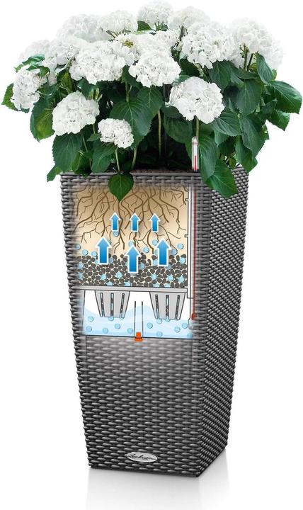 Actual product image Lechuza Cubico Cottage (39.50 cm)