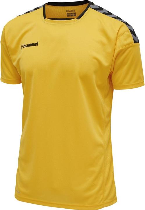 Actual product image hummel Authentic Poly Jersey S/S (S)