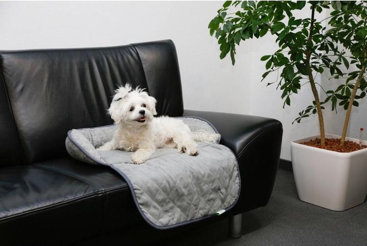 Image du produit Kerbl Emalia (Chien)