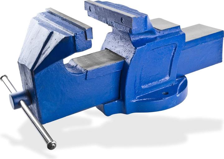 Dema Vice 'Profi ' solid cast iron 200mm 36kg (200 mm)