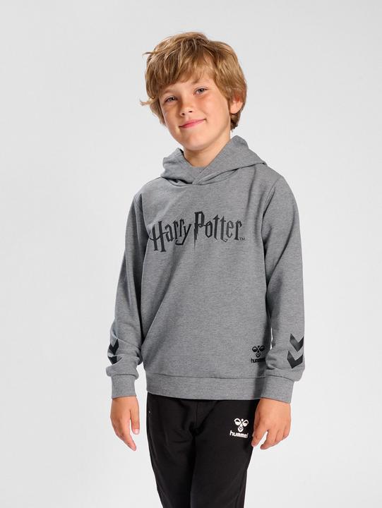 Image du produit hummel Sweat à capuche Hmlharry Potter (116)