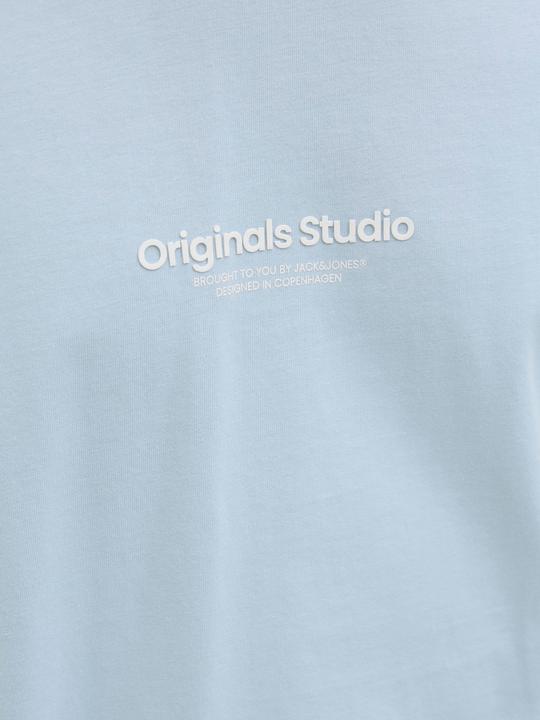 Actual product image Jack & Jones Jorvesterbro Tee Ss Crew Neck Noos (L)