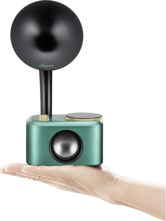 Produktbild Sangean CP 100D (DAB+, Bluetooth)