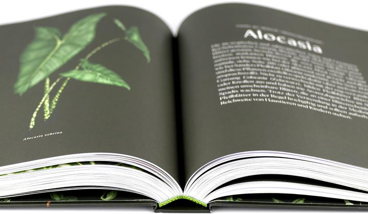 Immagine prodotto Plantopedia (Tedesco, Lauren Camilleri, Sophia Kaplan, 2022)