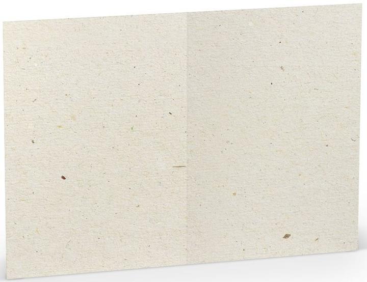 Valeurs nutritives et ingrédients Rössler Carte-lettre Paperado Terra vanilla (5 pcs)