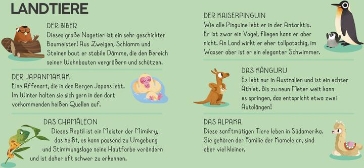 Produktbild Die Welt. Meine Erste Puzzle Box (36 Teile)