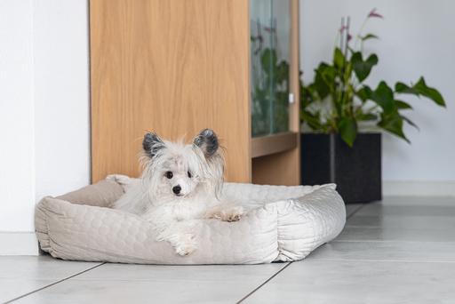 Image du produit Karlie Lit de repos Velvet (Chien)