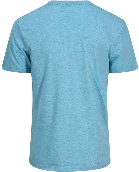 Actual product image Awdis Unisex Adult Just Ts T-Shirt (L)