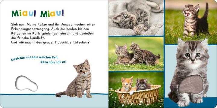 Image du produit Hör mal rein, wer kann das sein? – Meine ersten Tiere (Allemand)