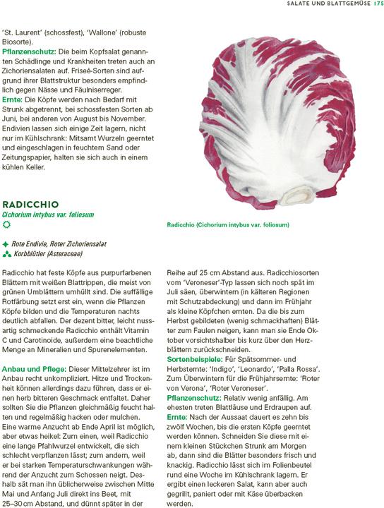 Produktbild Das grosse Gemüse- und Obstgartenbuch (Deutsch, Joachim Mayer, 2025)