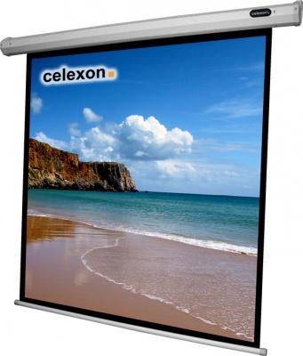 Actual product image Celexon Motor Economy, Canvas, 1:1 (100.24", 1:1)
