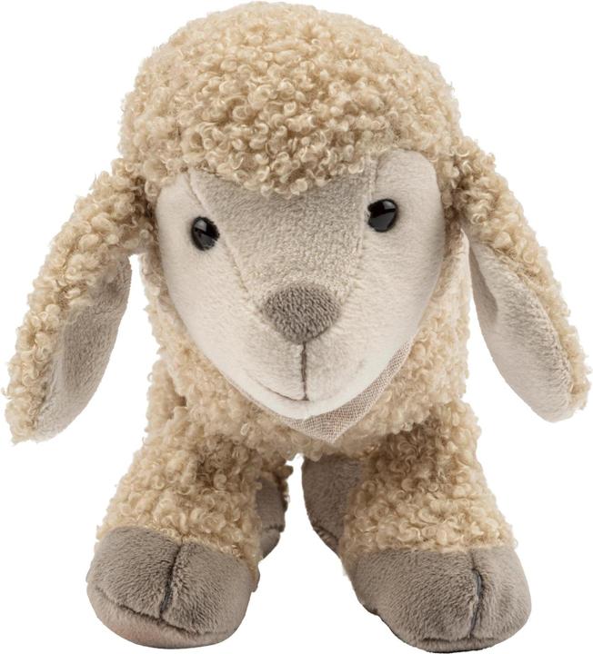 Produktbild Sterntaler Kuscheltier Schaf Flocke M (20 cm)