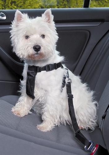 Immagine prodotto Trixie Cablaggio auto (M, Cane, Generale)