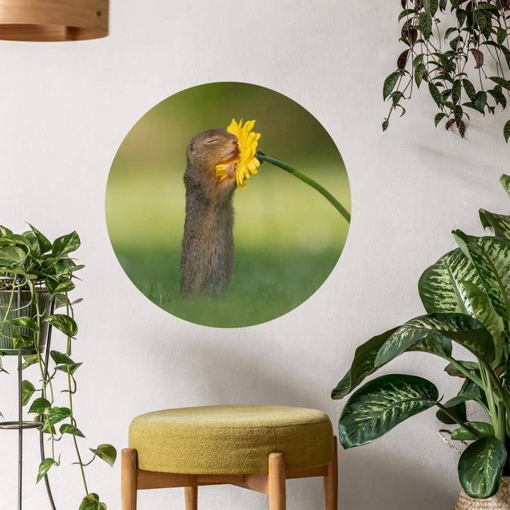 Immagine prodotto Trenddeko van Duijn - Gopher odora di fiori (Ø 30 cm)