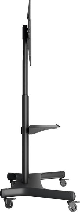 Actual product image Multibrackets M Public Floor Stand Basic 180 (Device-specific, 80", 90 kg)
