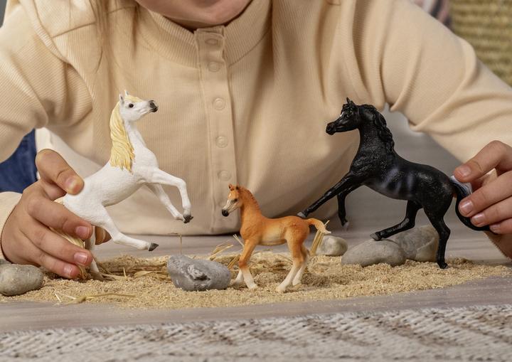 Image du produit Schleich Araber Hengst