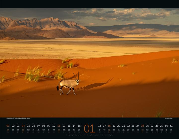 Produktbild Wildes Afrika Kalender 2026 (54 x 42 cm, Harter Einband, Englisch, Französisch, Deutsch)