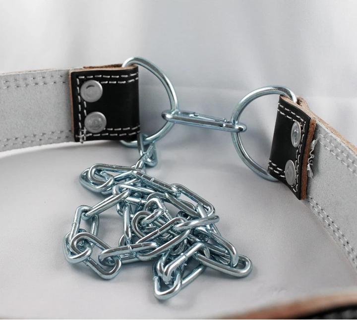 Produktbild Gym Generation Leder Dip Belt mit Stahlkette