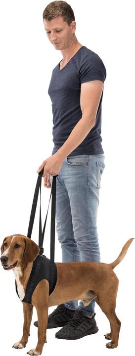Actual product image Trixie Walking aid (Dog)
