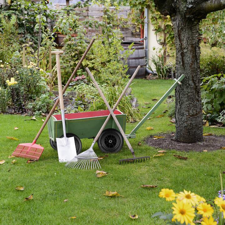 Image du produit Relaxdays 2x roue de brouette