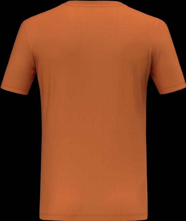 Produktbild Salewa Eagle Pack Dry T-Shirt (54)