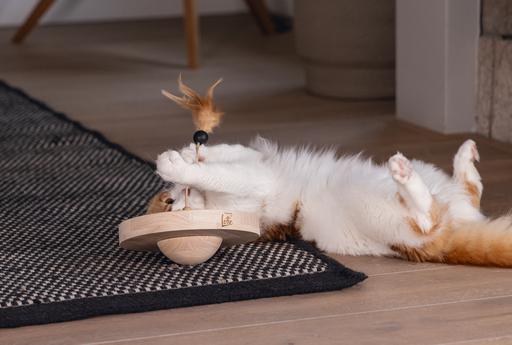Actual product image Designed by Lotte Winni (Catmint toy)