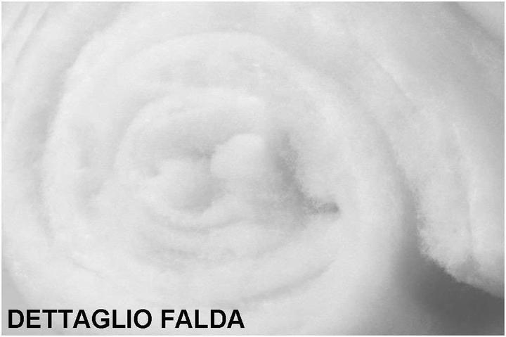 Image du produit Casativo Coussin ignifugé en polyester cardé, 50 x 80 cm, Made in Italy (50 x 80 cm)