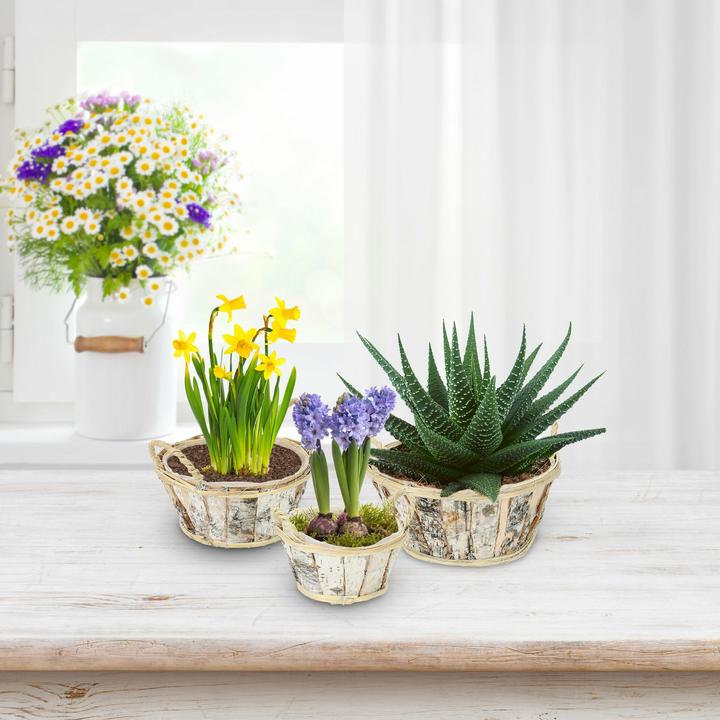Image du produit Relaxdays Balkonklapptisch (70 cm)